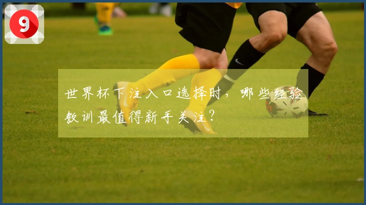 世界杯下注入口选择时，哪些经验教训最值得新手关注？