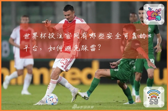 世界杯投注官网有哪些安全可靠的平台，如何避免踩雷？