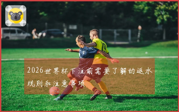2026世界杯下注前需要了解的返水规则和注意事项