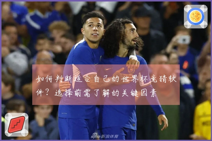 如何判断适合自己的世界杯竞猜软件？选择前需了解的关键因素